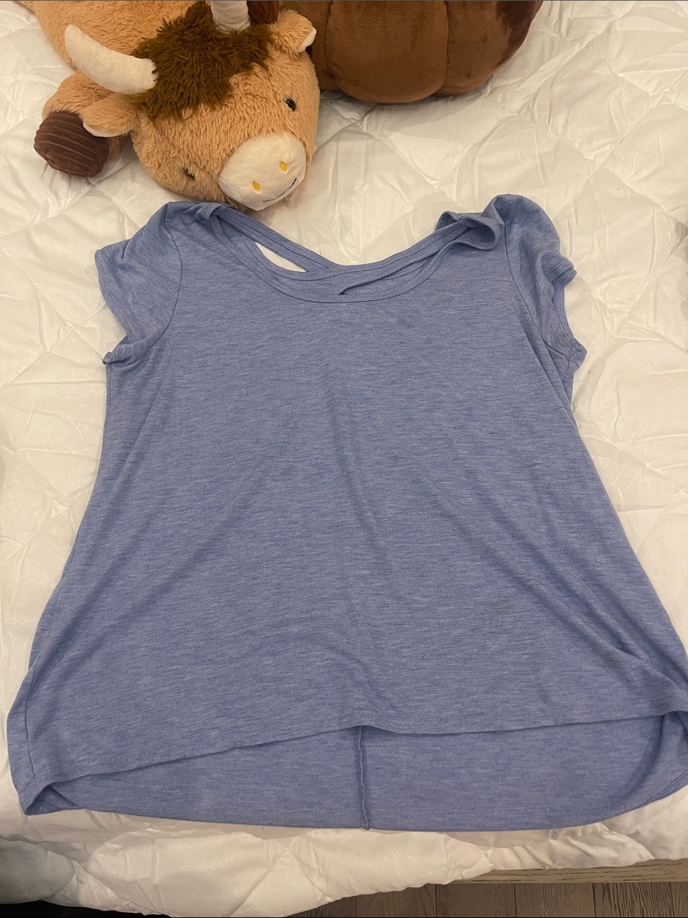 Short Sleeve Light Blue Top